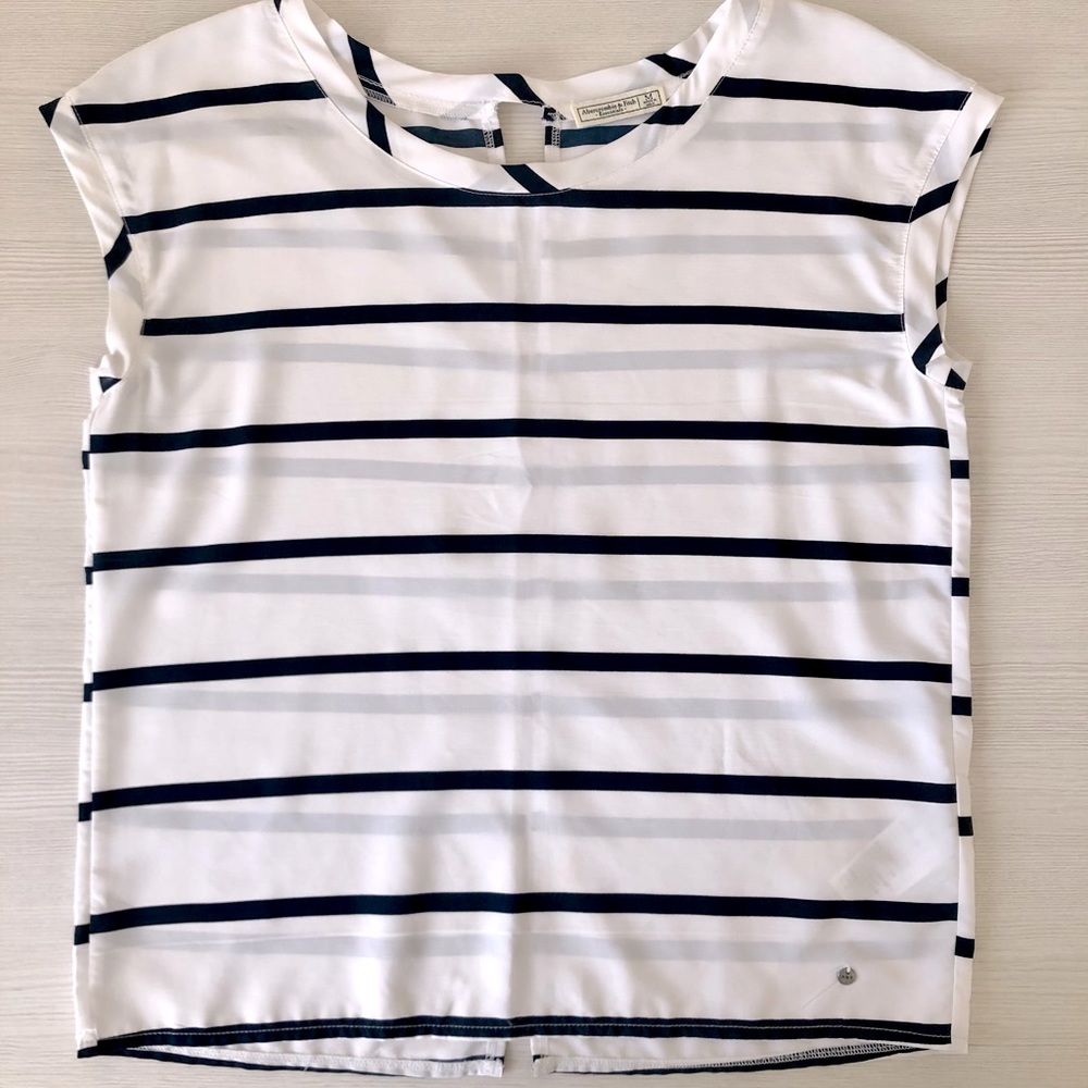 Abercrombie & Fitch Navy Striped Dress Shirt